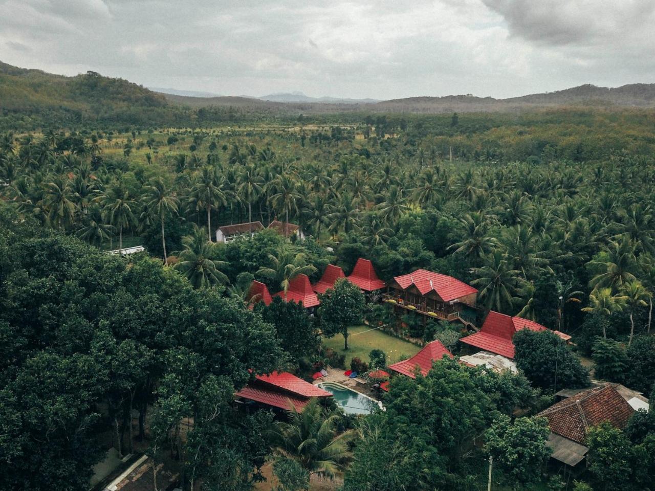 Mojosurf Camp Red Island Hotell Pasanggaran Exteriör bild